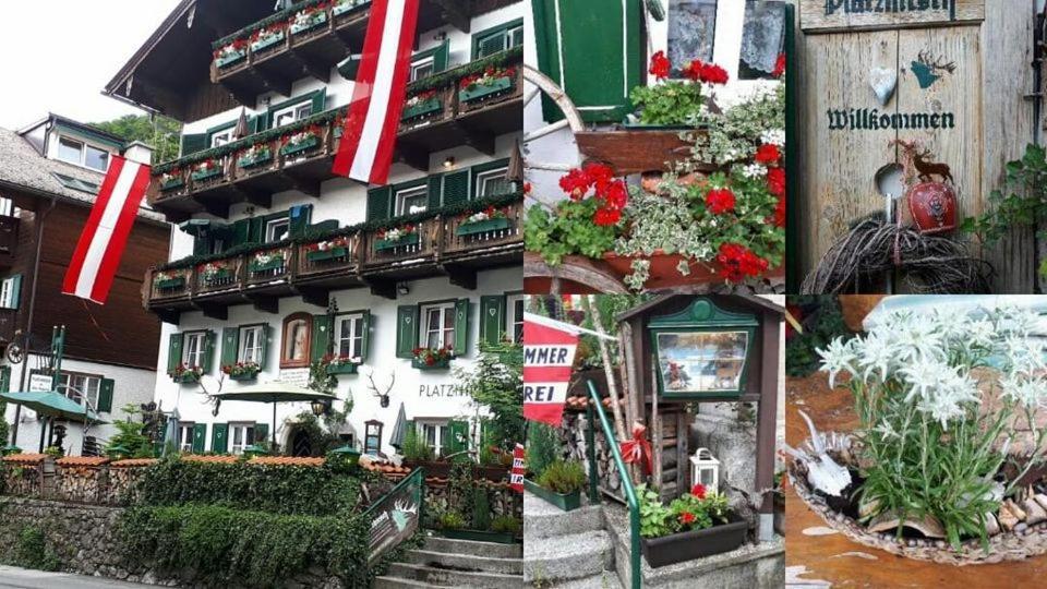 Platzhirsch Zur Alten Wagnerei Gastehaus Bed and Breakfast Saint Wolfgang Eksteriør billede